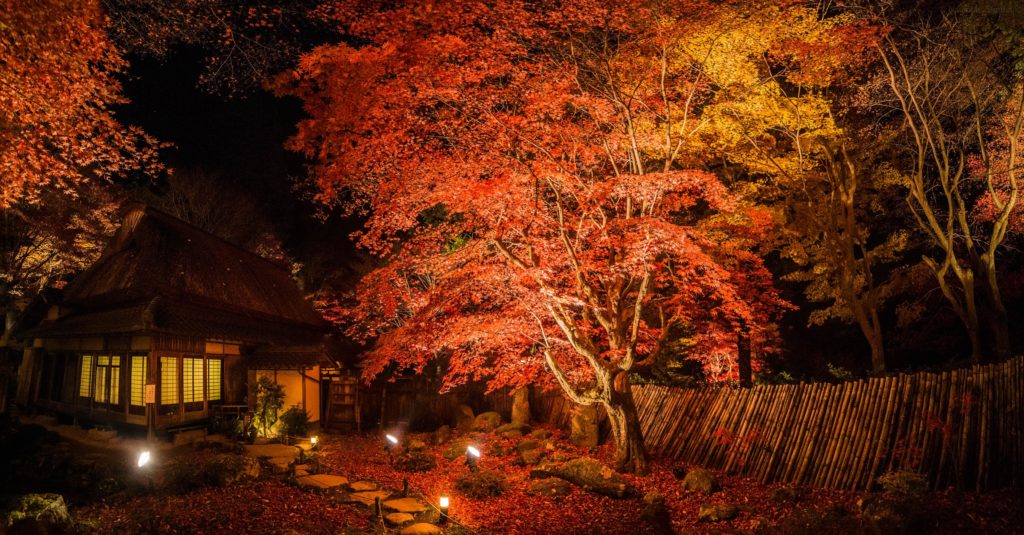 Autumn leaves at Kyorinbo Temple, Omihachiman [OC]
