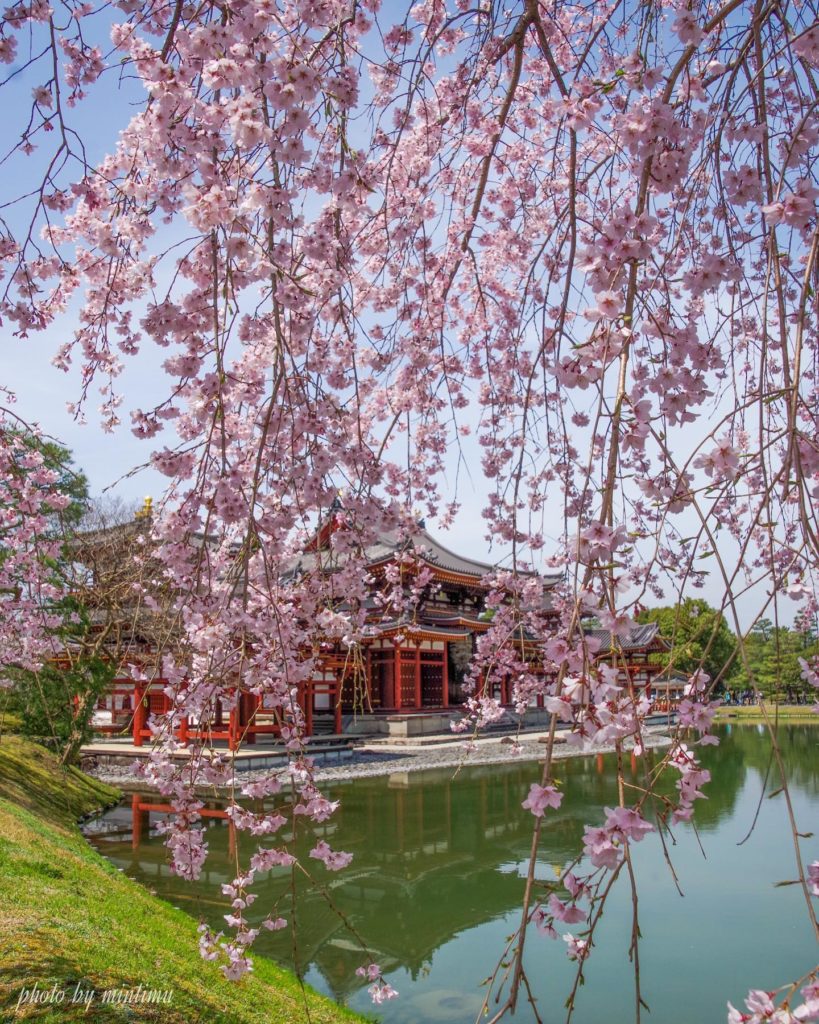 Byodo-in Temple