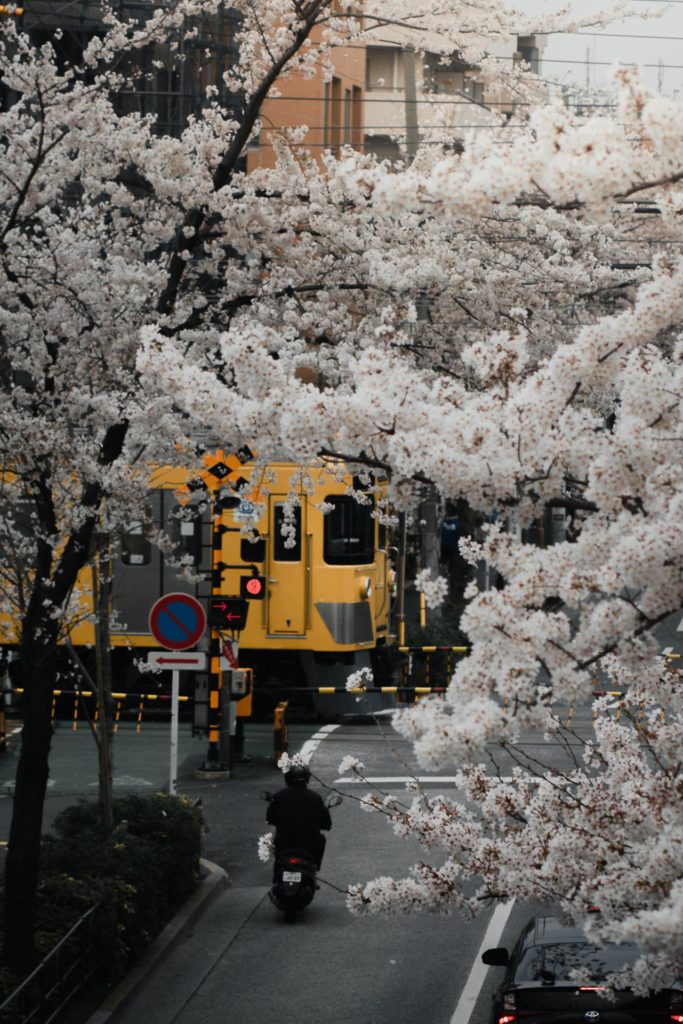 Araiyakushi-Mae Tokyo