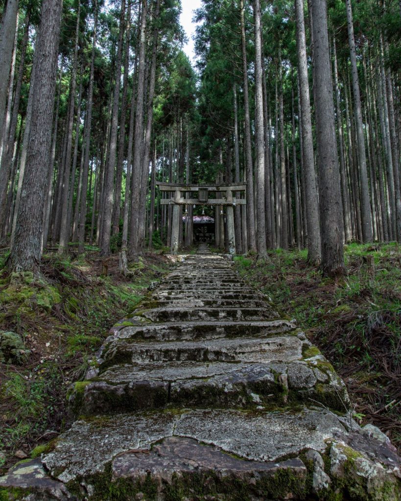 Kamo Shrine