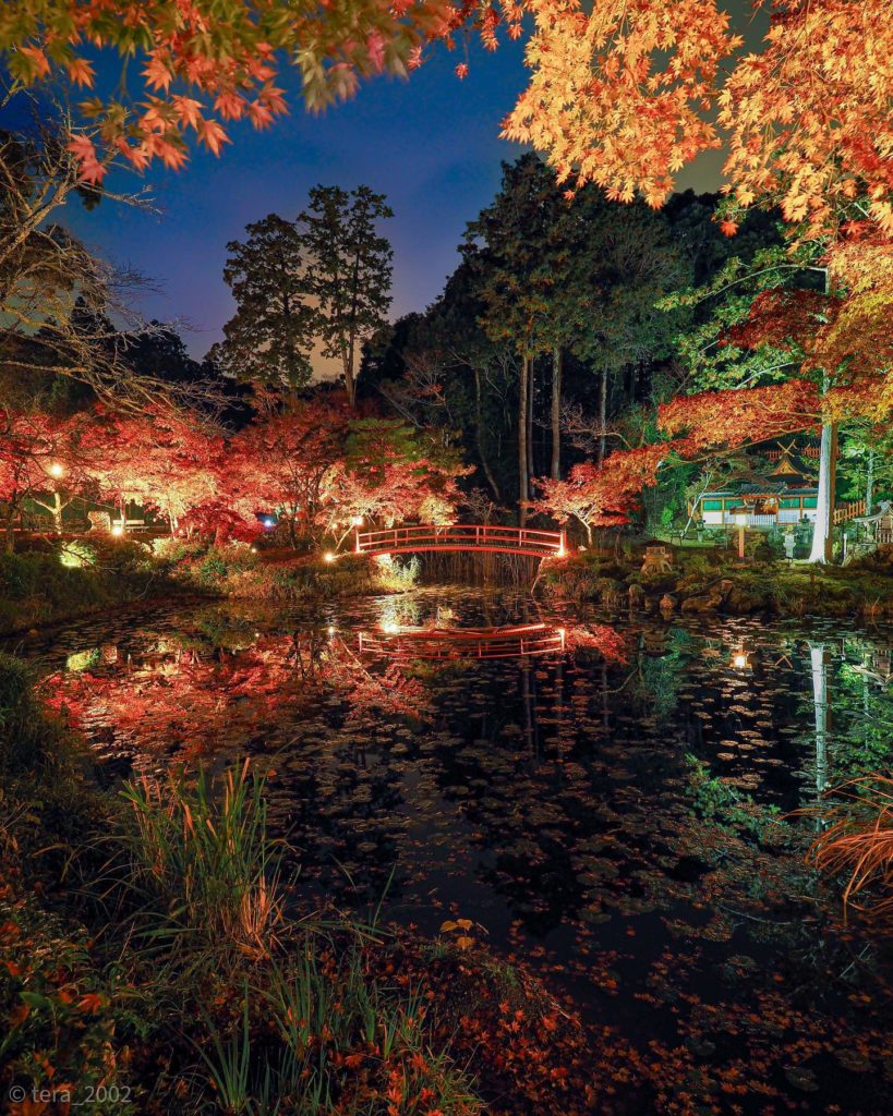 Kyoto Prefecture, Kyoto - Oharano Shrine | Credit: @tera_2002