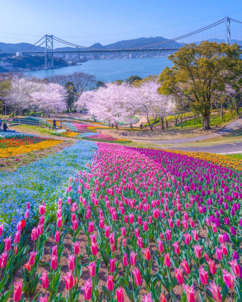 Hinoyama Park, Shimonoseki, Shimonoseki