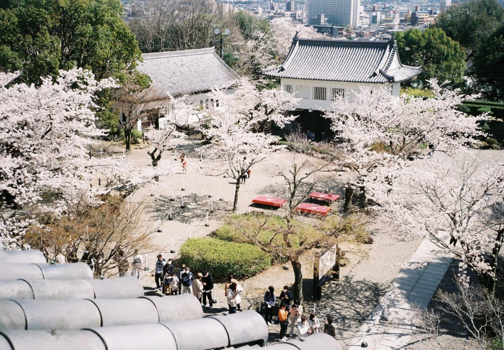 The view from Inuyama castle.