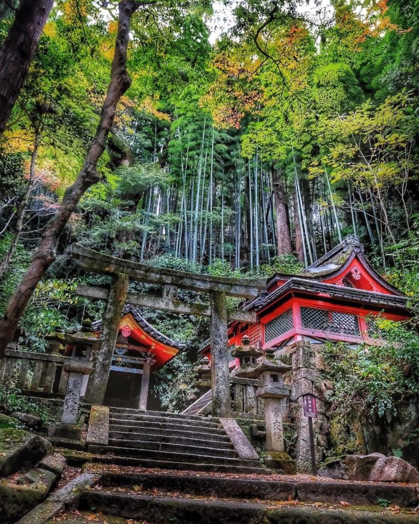 Iwashimizu Hachimangu Shrine | Credit: @imperial_kyoto