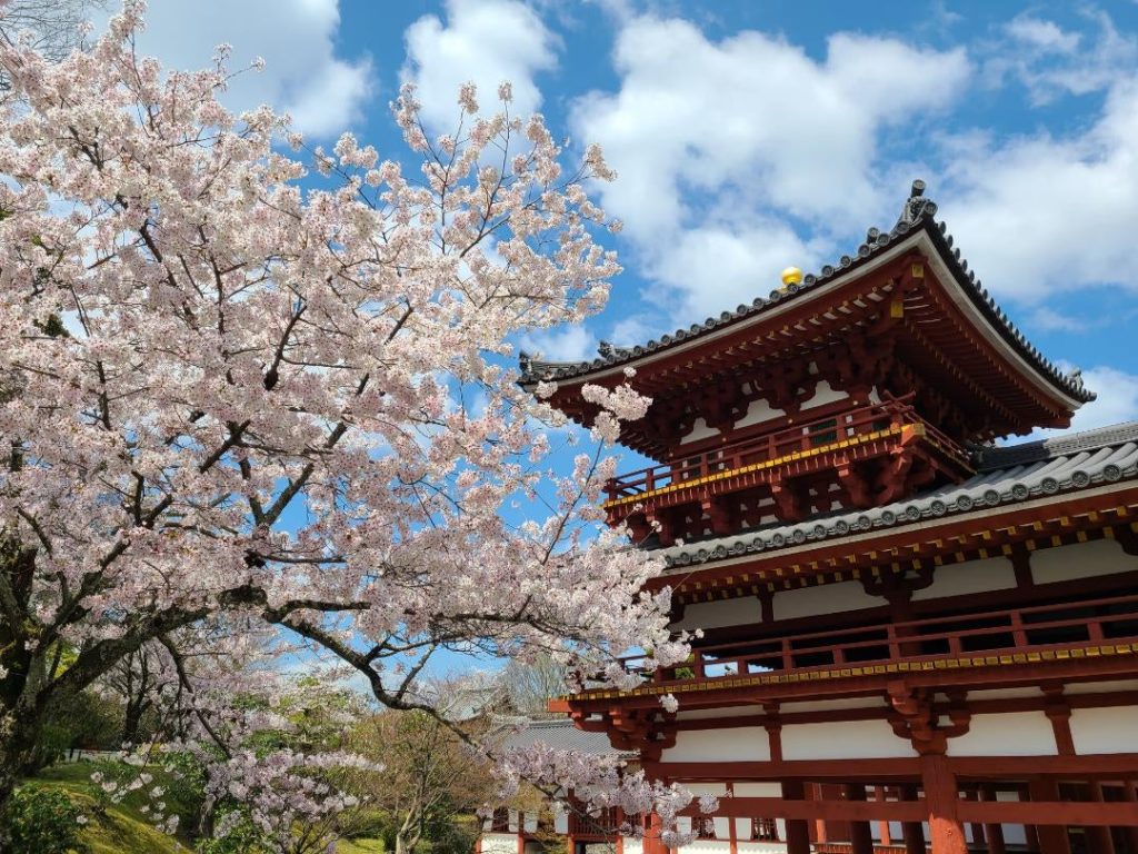 Byodo-in, Kyoto [OC]