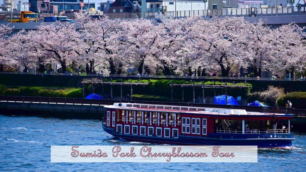 Sumida Park Cherryblossom Festival | #Skytree | #スカイツリー桜まつり | #Tokyo Sumida Park Cherryblossom Festival | #Skytree | #スカイツリー桜まつり | #Tokyo