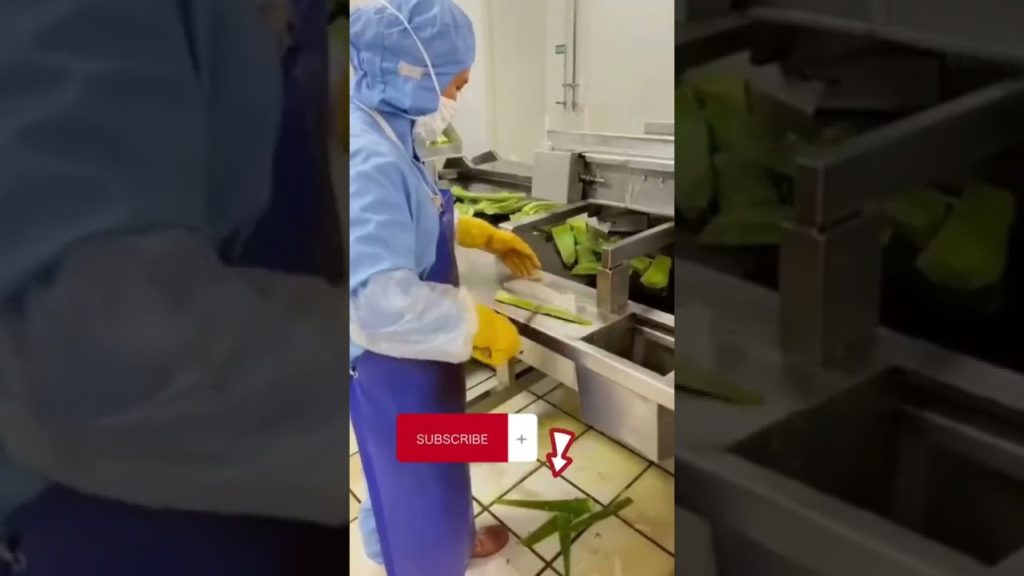Aloe vera factory! 😱  india and turkish asian street food shorts #shorts