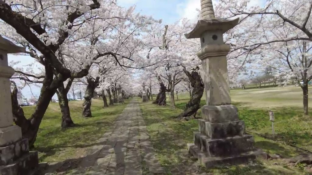 4K Japan Walk -  NIIGATA NAGAOKA Neighborhood Walking Tour | 新潟長岡 2022