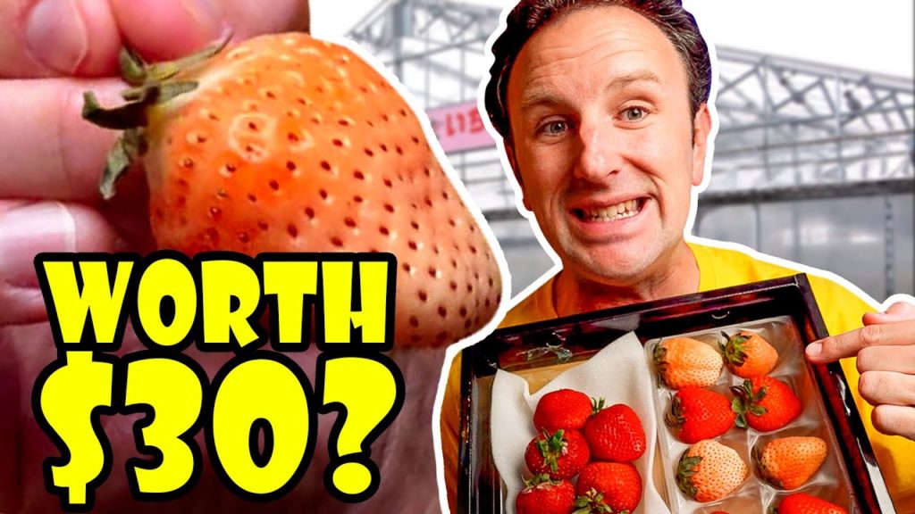 Tasting $30 JAPANESE WHITE STRAWBERRIES - The Best!