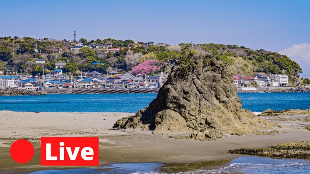 Hawaii Ala Moana Beach Park Walk - Live