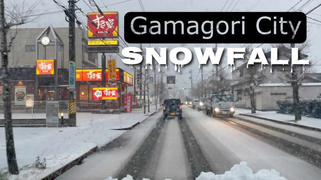 Sudden Heavy Snowfall at Route 23 Gamagori Toyohashi Aichi Japan | Drive Recording Sudden Heavy Snowfall at Route 23 Gamagori Toyohashi Aichi Japan | Drive Recording