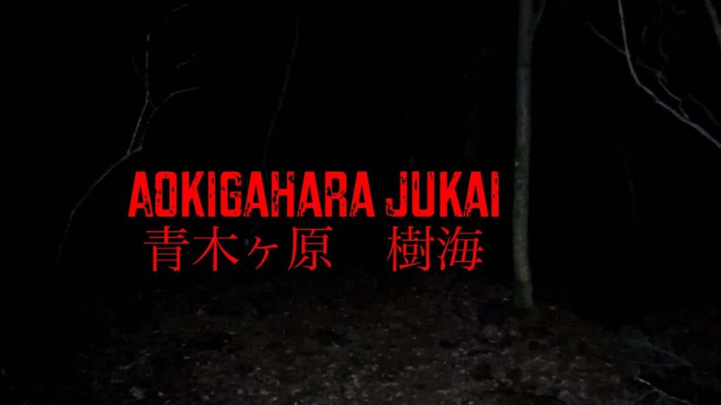 Exploring Aokigahara Jukai - Creepy Japanese Forest at Night
