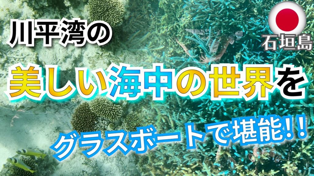 【石垣島Vol.2 / Vlog】川平湾で、珊瑚礁も熱帯魚も目の前で見れる、美しい海中の世界をグラスボートで堪能!! まりんはうすぐるくん 2022年4月 一人旅 Okinawa Ishigaki 【石垣島Vol.2 / Vlog】川平湾で、珊瑚礁も熱帯魚も目の前で見れる、美しい海中の世界をグラスボートで堪能!! まりんはうすぐるくん 2022年4月 一人旅 Okinawa Ishigaki