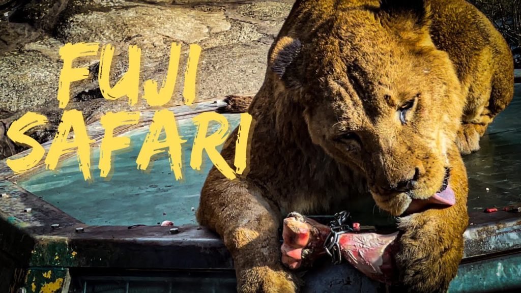 FUJI SAFARI PARK | SHIZUOKA, JAPAN | WILDLIFE | 4K | RAMVID #48