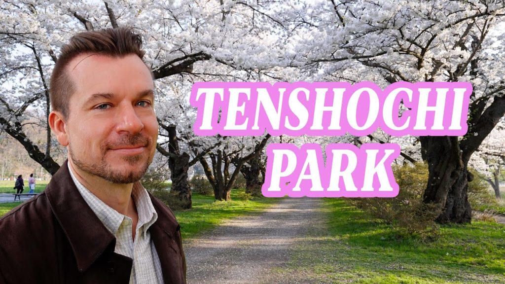 Cherry Blossoms at Tenshochi Park - One of the Three Best Sakura Spots in North Japan