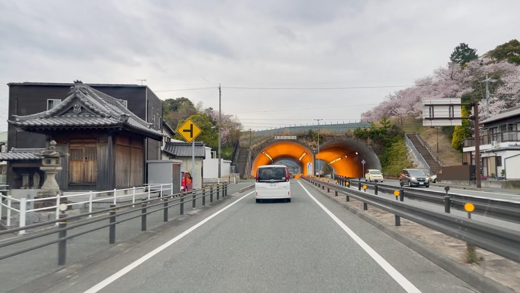 Afternoon Drive Around Gamagori City Aichi Japan | Cherry Blossoms Season Afternoon Drive Around Gamagori City Aichi Japan | Cherry Blossoms Season
