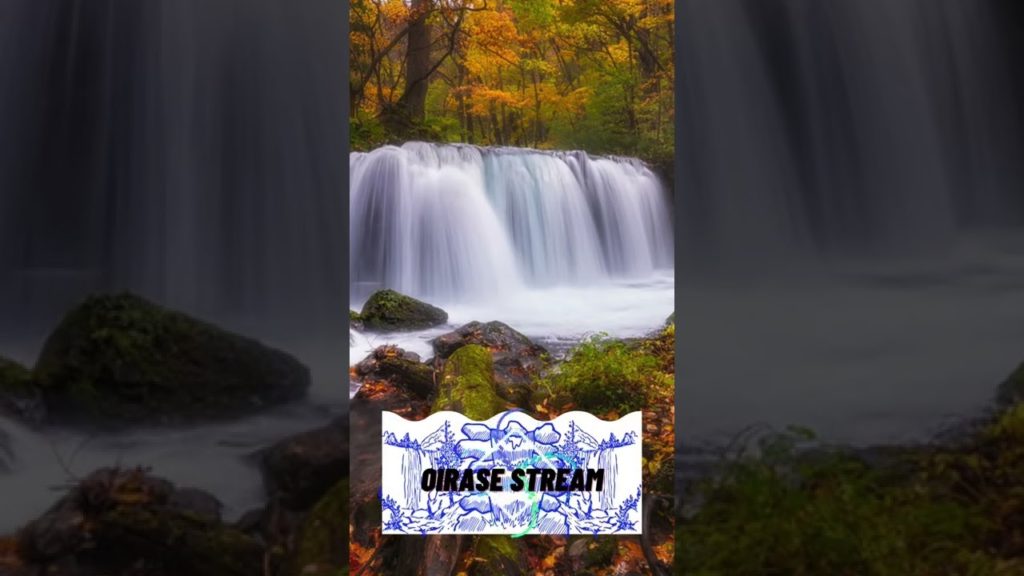 3 best must visit places in Aomori Japan in autumn 2022/2023!!! #shorts #viral #travel #trending