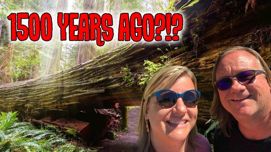 Put THIS On Your Redwoods Trip Itinerary!! | Big Tree Wayside, Prairie Creek Redwoods State Park