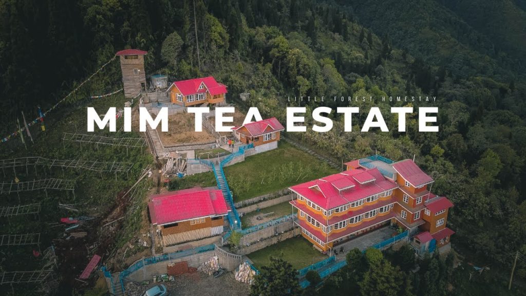 Mim Tea Estate -  Little Forest Homestay | Weekend Getaway near Darjeeling | Offbeat & Untold