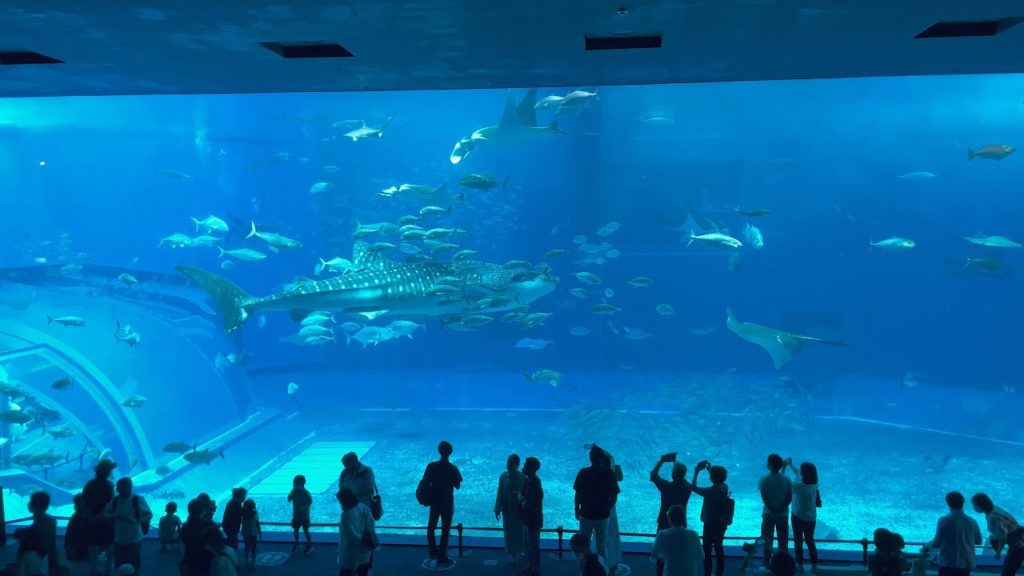 Okinawa Churaumi Aquarium – 4K HDR Okinawa Churaumi Aquarium - 4K HDR
