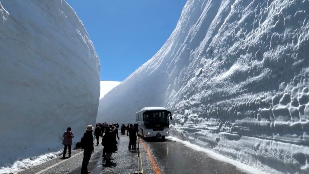 2022年 立山 雪の大谷「今年は最大18mの高さ」立山黒部アルペンルート　富山 日本 雪の壁 SNOW WALL TATEYAMA JAPAN