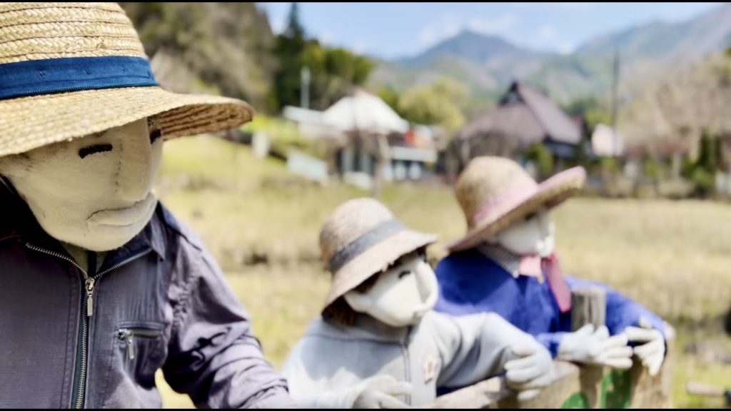Walk in Japan Countryside Scarecrow Old Village in Himeji