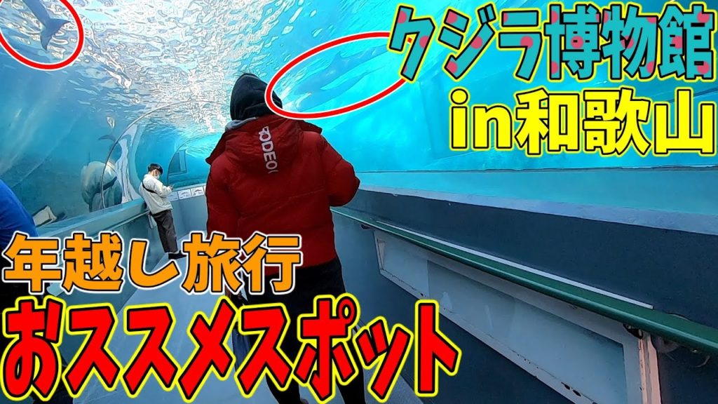 【2021】年越し正月温泉旅行旅行　クジラ博物館in和歌山03　愛ちゃんとY's社長[2021] New Year's Eve Hot Spring Trip Whale Museum in