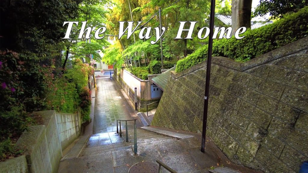 Casual Walk From Takadanobaba to Nakai (Tokyo, Japan) 4K Casual Walk From Takadanobaba to Nakai (Tokyo, Japan) 4K