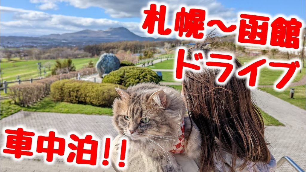 桜咲く春の道南満喫車中泊! 札幌〜函館4時間ドライブと、男爵ラウンジの絶品グルメを猫と楽しむ【春の函館・松前の旅 Part1】 桜咲く春の道南満喫車中泊! 札幌〜函館4時間ドライブと、男爵ラウンジの絶品グルメを猫と楽しむ【春の函館・松前の旅 Part1】