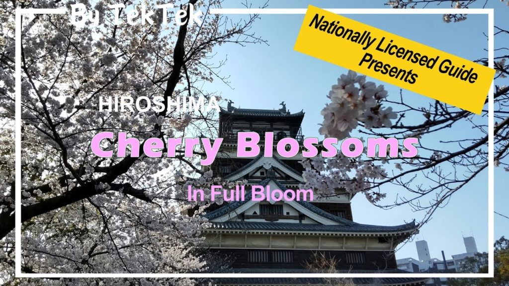 TekTek [HIROSHIMA] Cherry Blossoms in Full Bloom at Hiroshima Castle and the Peace Memorial Park