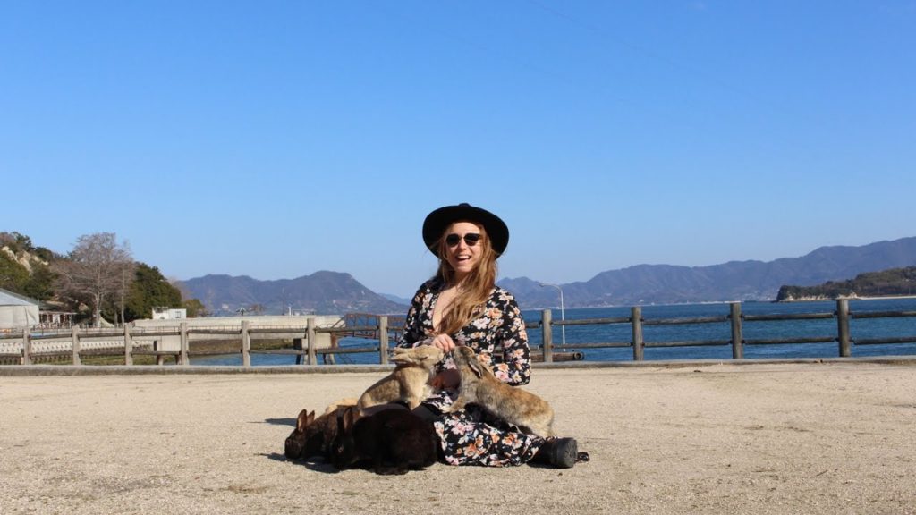 Kyoto and Rabbit Island... Cute Bunnies Everywhere! | Japan Vlog 003