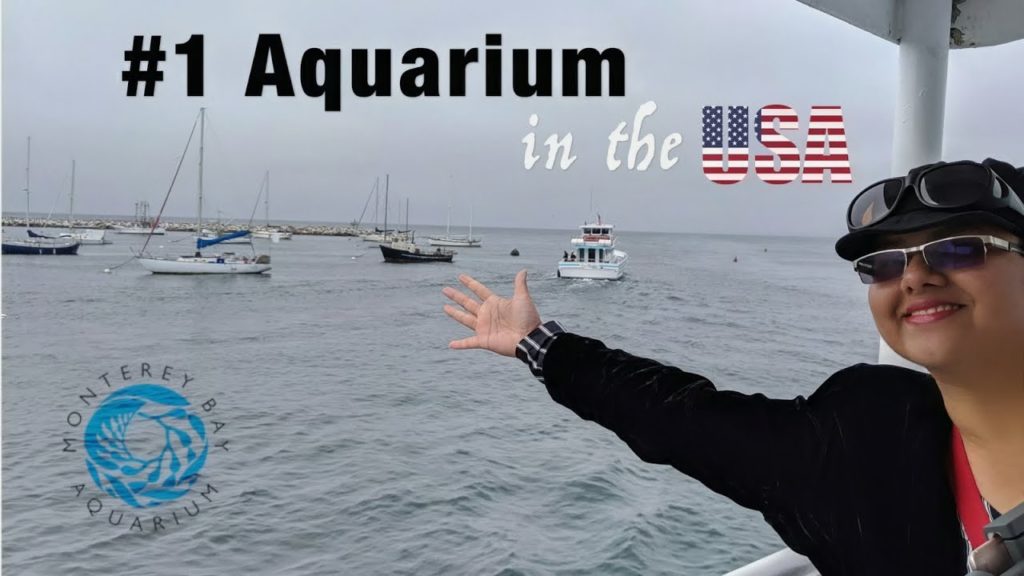 MONTEREY BAY AQUARIUM FULL TOUR 2021 | BEST Aquarium in the USA