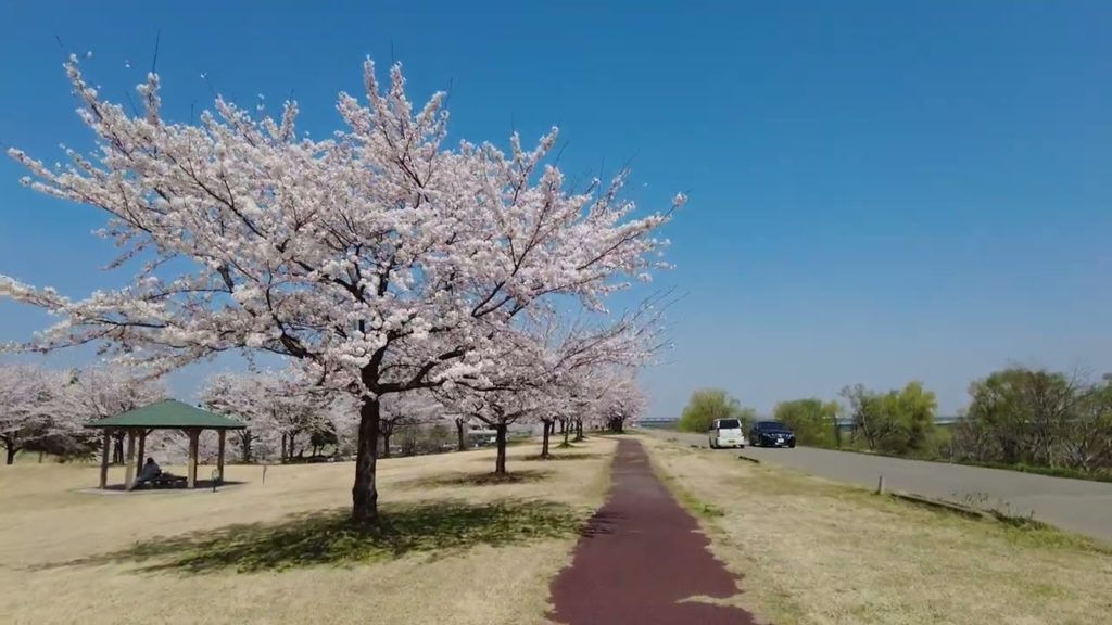 4K Japan Walk – NIIGATA NAGAOKA Neighborhood Walking Tour | 新潟長岡 2022 4K Japan Walk - NIIGATA NAGAOKA Neighborhood Walking Tour | 新潟長岡 2022