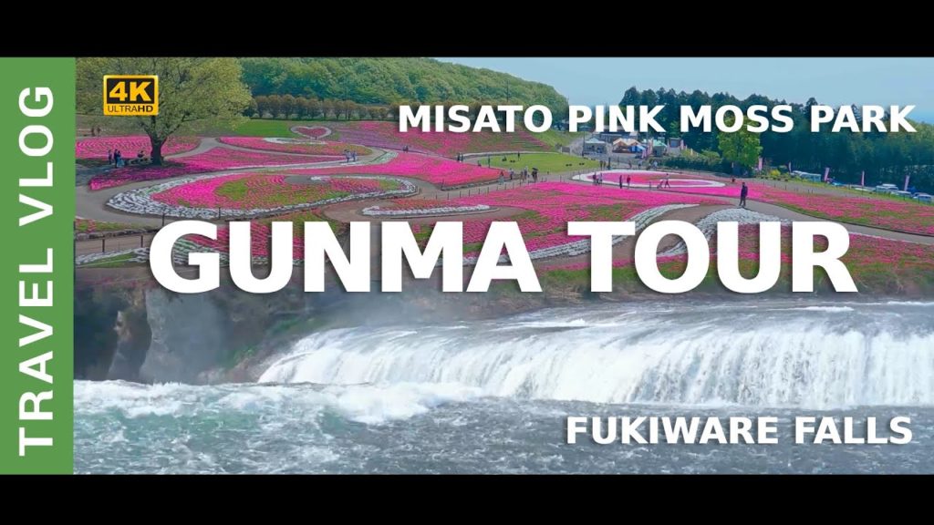 [4K] One Day Gunma Tour - Misato Pink Moss Park (みさと芝桜公園), Strawberry Picking & Fukiware Falls