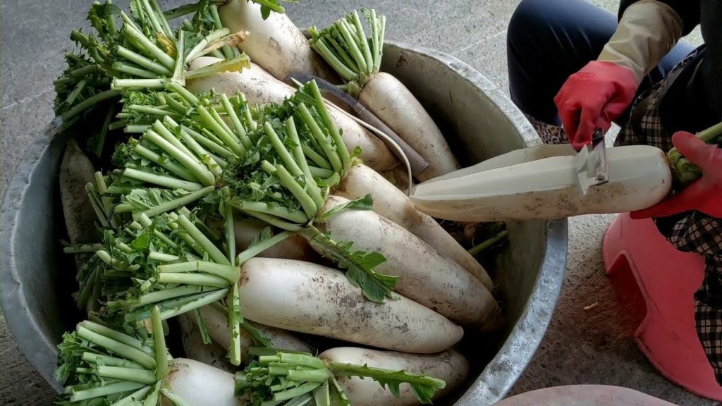 深山裡的古早味柴燒蘿蔔糕/Giant Turnip Cake Making Skills-台灣街頭美食-台灣傳統美食 深山裡的古早味柴燒蘿蔔糕/Giant Turnip Cake Making Skills-台灣街頭美食-台灣傳統美食
