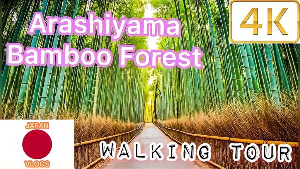 bamboo forest arashiyama walking tour 4k videos 2022 kyoto trip walktour