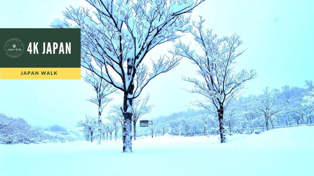 Snow 4K Japan Walk - NAGAOKA NIIGATA  Neighborhood Walking Tour | 新潟長岡 2021 New Year's Eve