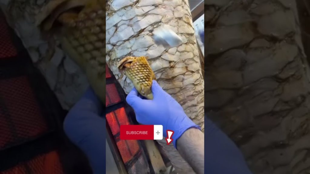 قولوا بسم الله 😍 are you hungry  india and turkish asian street food shorts #shorts