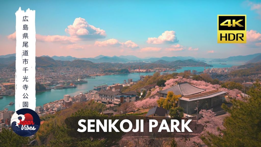 4K HDR //Japan Cherry Blossom 2022 // SENKOJI PARK, Onomichi, Hiroshima
