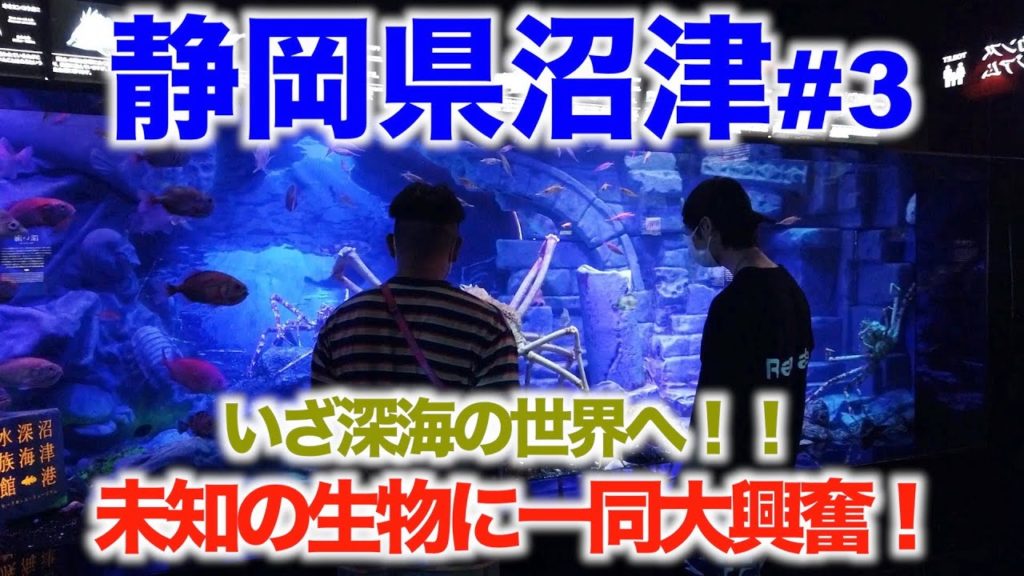 未知との遭遇！！世界初の深海水族館へ！#3