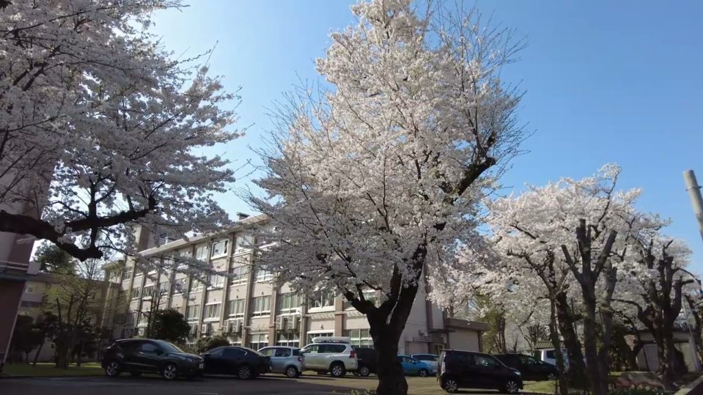 4K Japan Walk -  NIIGATA NAGAOKA Neighborhood Walking Tour | 新潟長岡 2022