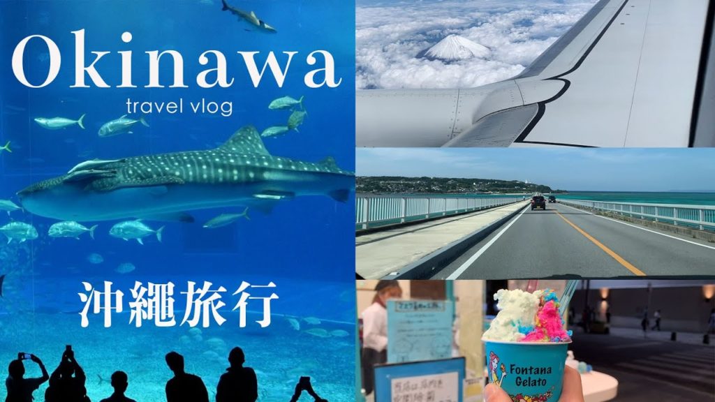 沖繩旅行(上)|SKY天馬航空初體驗|熱帶鳳梨園|美麗海水族館|絕景古宇利跨海大橋|手舞足蹈的國際通夜晚|日本旅遊vlog 沖繩旅行(上)|SKY天馬航空初體驗|熱帶鳳梨園|美麗海水族館|絕景古宇利跨海大橋|手舞足蹈的國際通夜晚|日本旅遊vlog