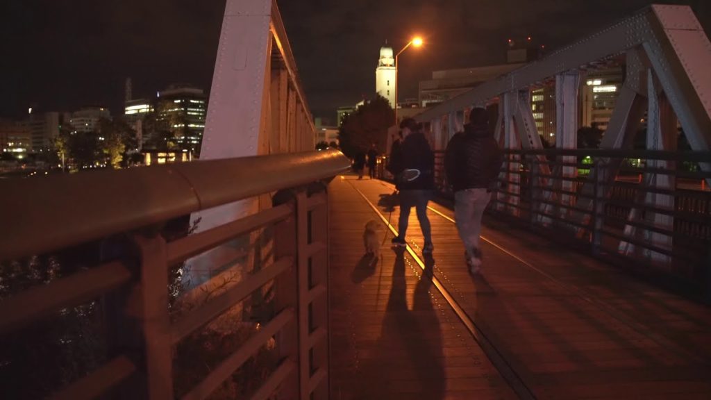Japan Travel【4K】  YOKOHAMA night view