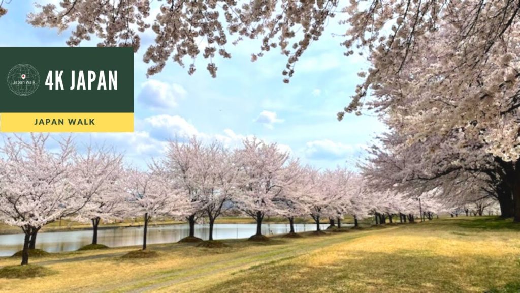 4K Japan Walk –  NIIGATA NAGAOKA Neighborhood Walking Tour | 新潟長岡 2022 4K Japan Walk -  NIIGATA NAGAOKA Neighborhood Walking Tour | 新潟長岡 2022