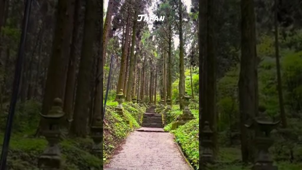 best visiting place in Japan.most peaceful place kumamoto lets travel to#japan #travelwithme #travel