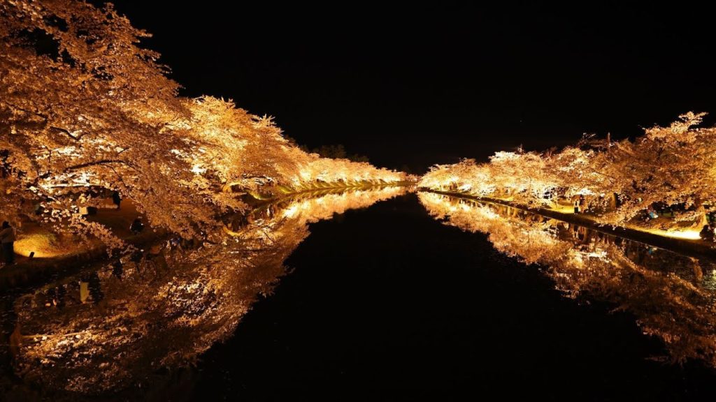 8K HDR 青森 桜の弘前城 昼と夜の絶景めぐり(史跡・重文)  Aomori,Hirosaki Castle with Sakura,Day and Night Best Scenes