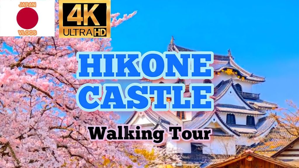 Japan Walk country side hikone castle sakura 2022 Japan Walk country side hikone castle sakura 2022