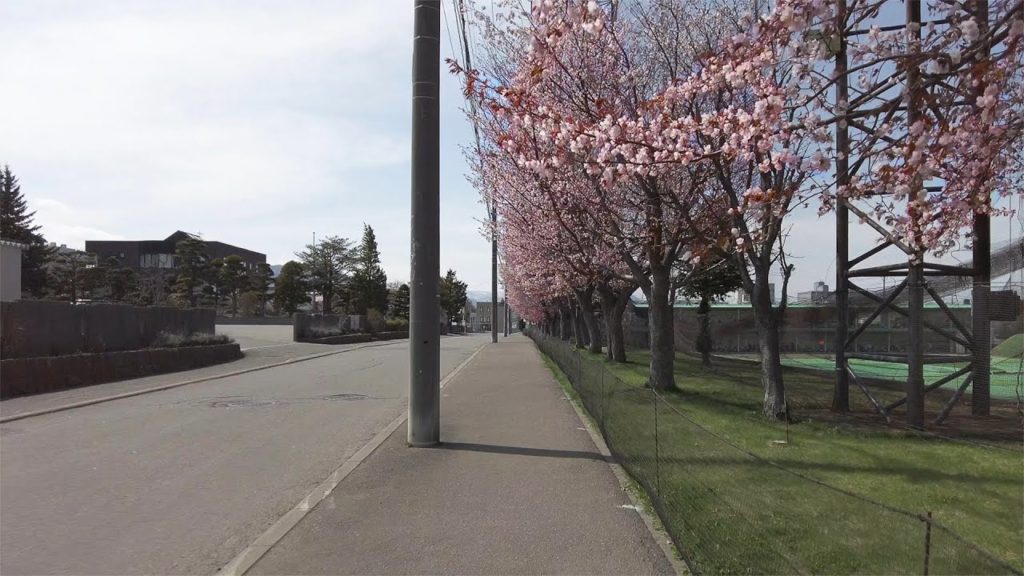 【4K】2022 日本 北海道 札幌 豊平区 西岡 ヒューマンゴルフガーデン 桜 散策【Binaural Audio】 【4K】2022 日本 北海道 札幌 豊平区 西岡 ヒューマンゴルフガーデン 桜 散策【Binaural Audio】