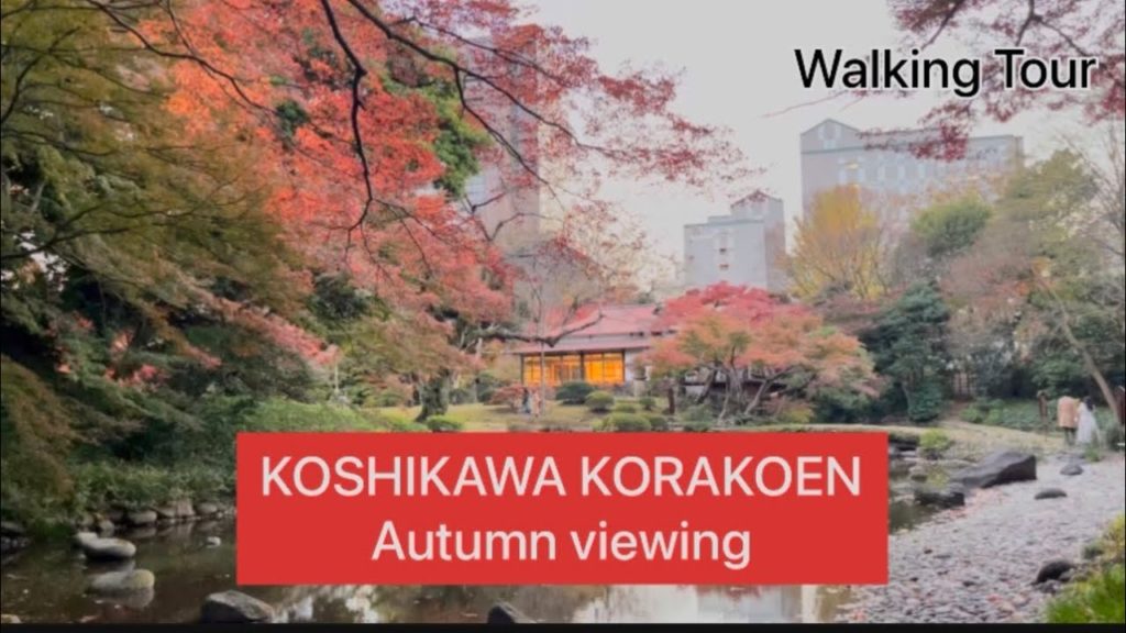 Autumn viewing 2021| Koshikawa Korakoen | டோக்கியோவில் இலையுதிர் காலம் | Walking Tour | I like Japan Autumn viewing 2021| Koshikawa Korakoen | டோக்கியோவில் இலையுதிர் காலம் | Walking Tour | I like Japan
