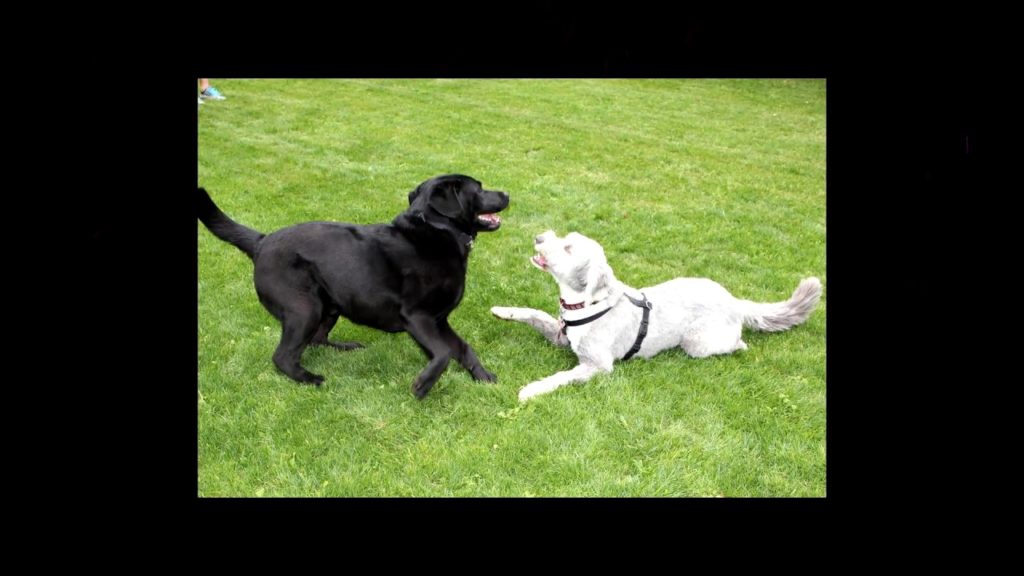 Hotel Angelini review in Nago-Torbole, Italy Review